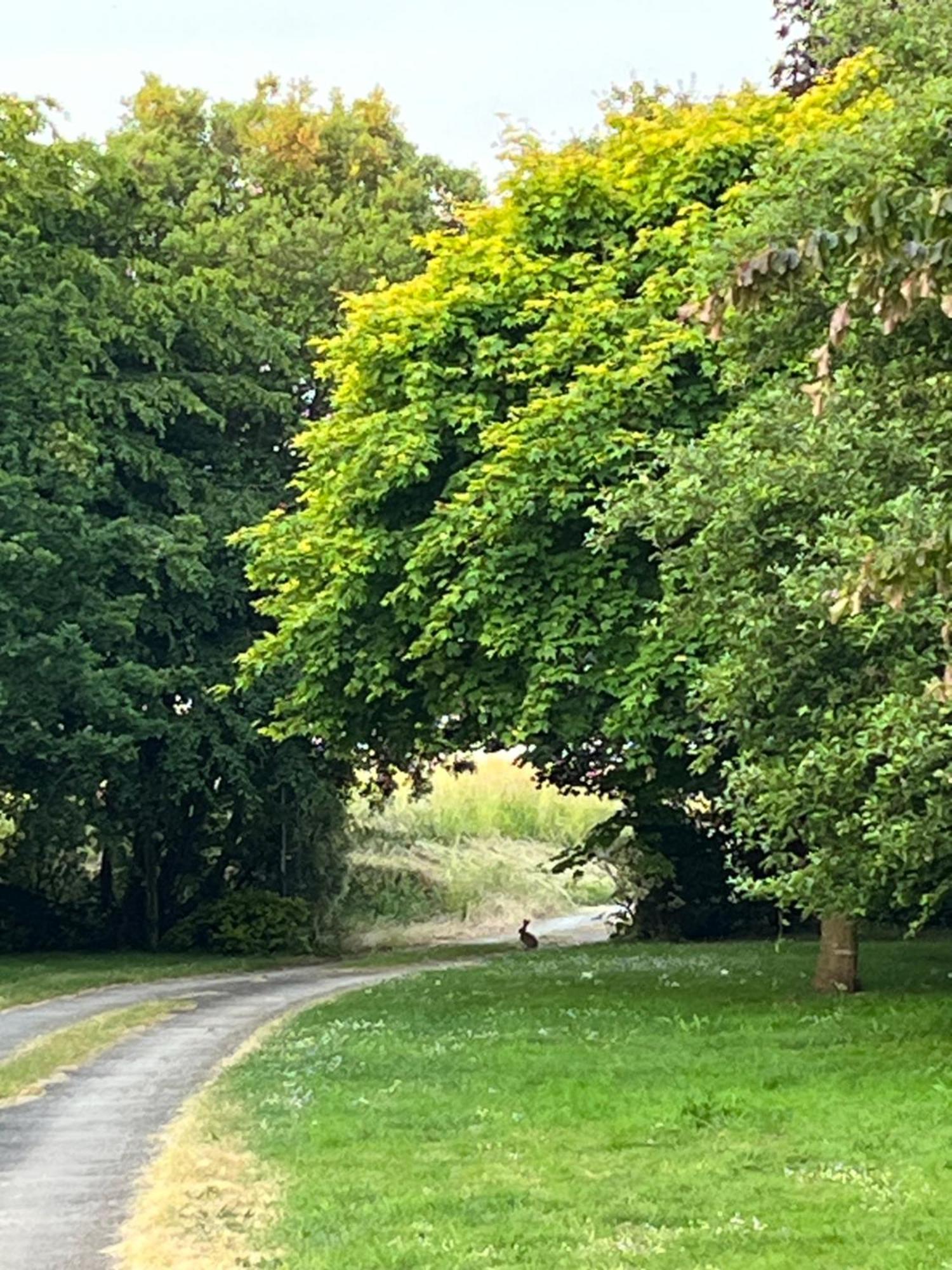 Plouër-sur-RanceManoir Des Bords De Rance住宿加早餐旅馆 外观 照片