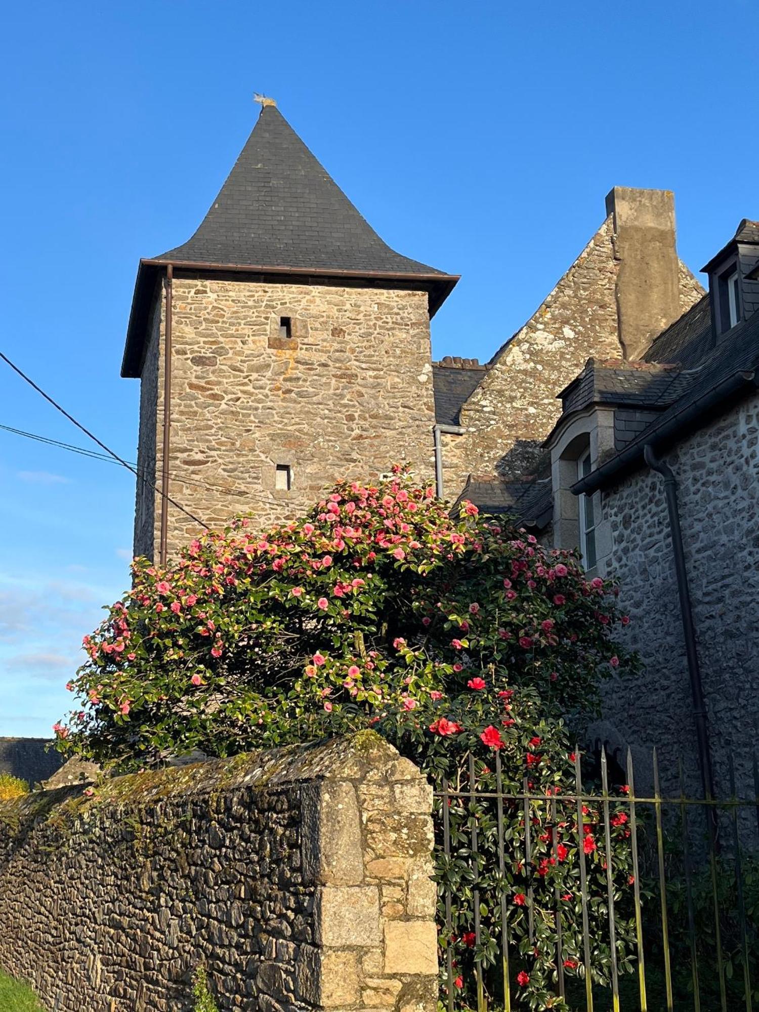Plouër-sur-RanceManoir Des Bords De Rance住宿加早餐旅馆 外观 照片