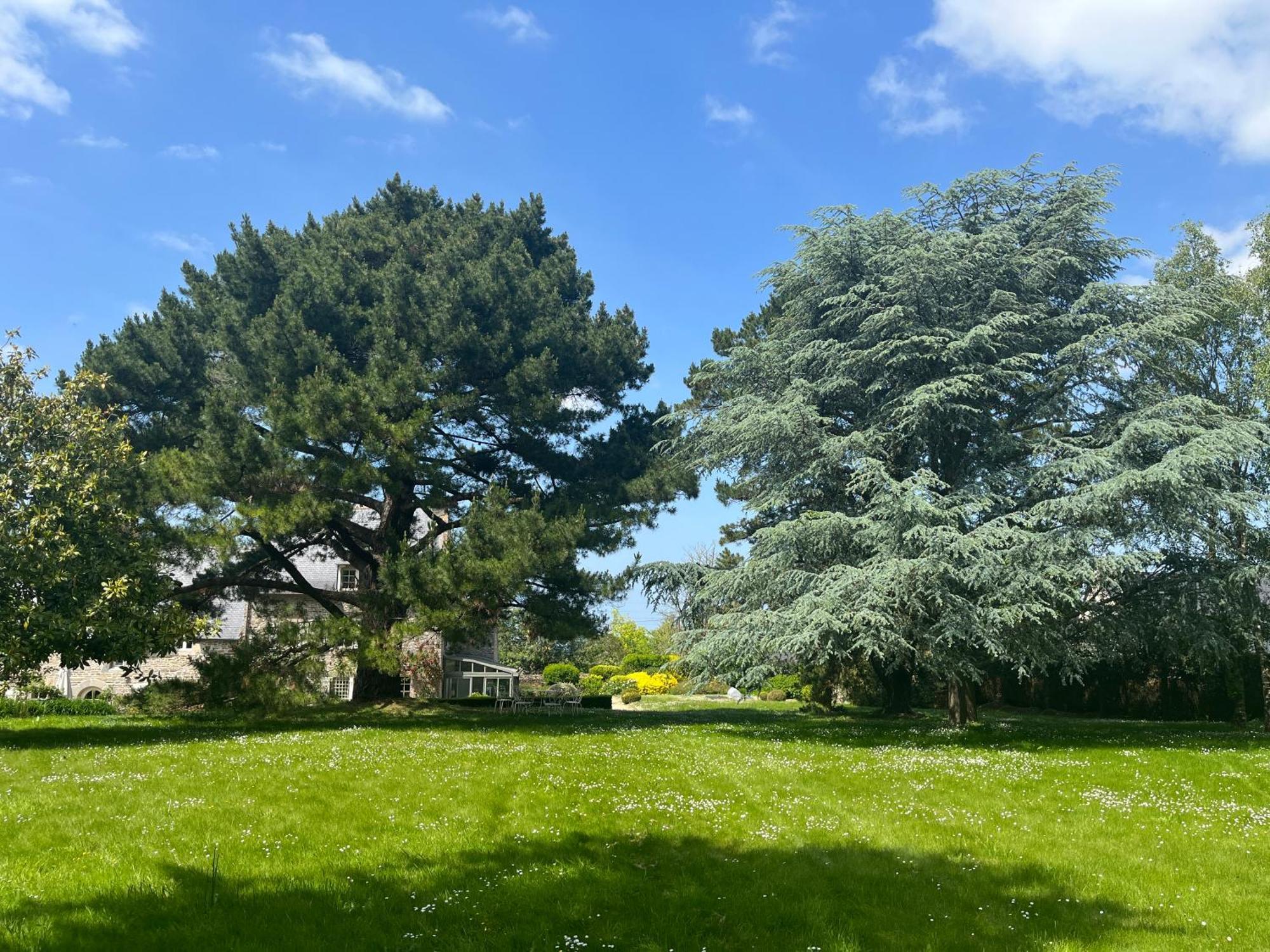 Plouër-sur-RanceManoir Des Bords De Rance住宿加早餐旅馆 外观 照片