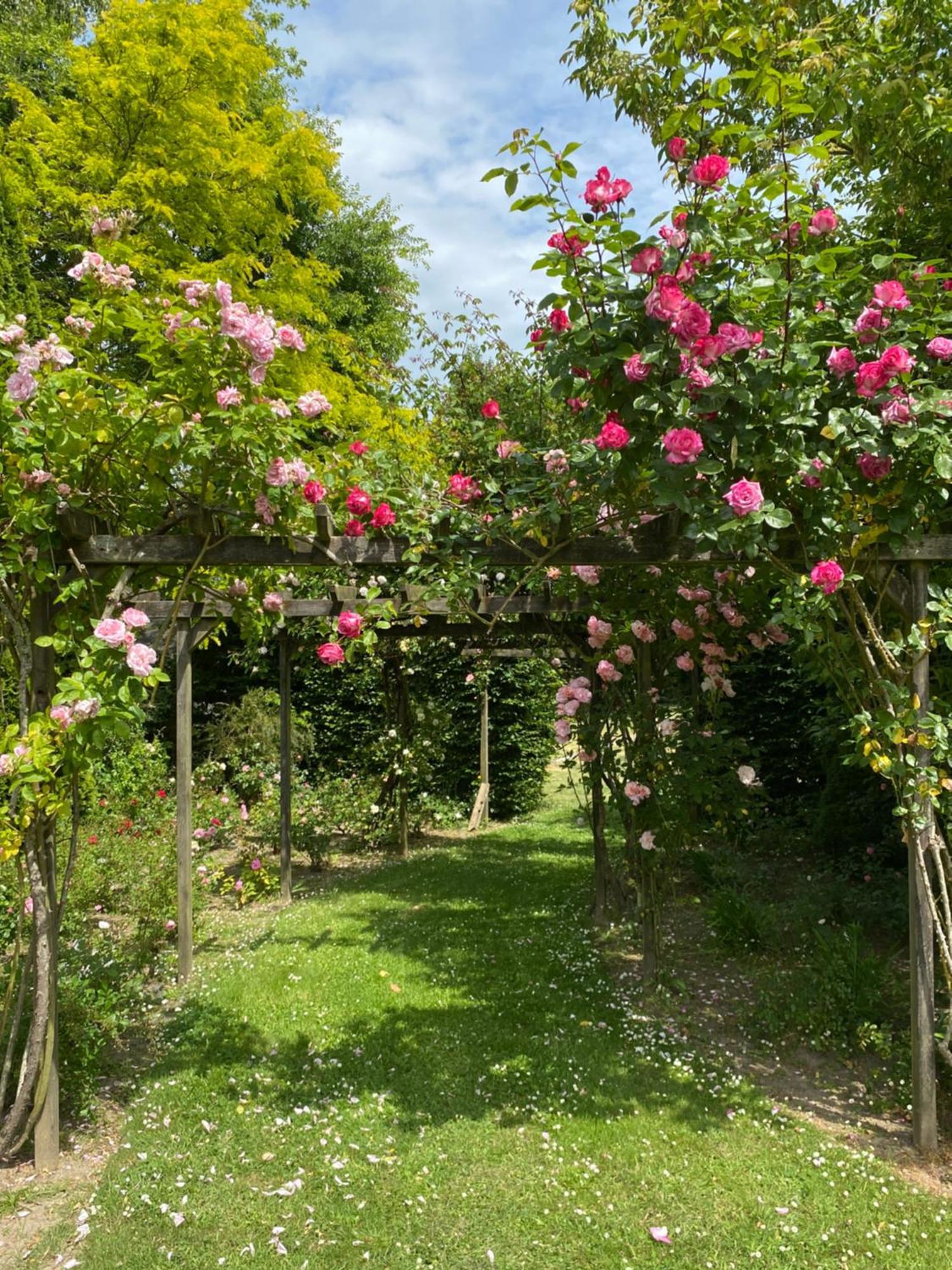 Plouër-sur-RanceManoir Des Bords De Rance住宿加早餐旅馆 外观 照片