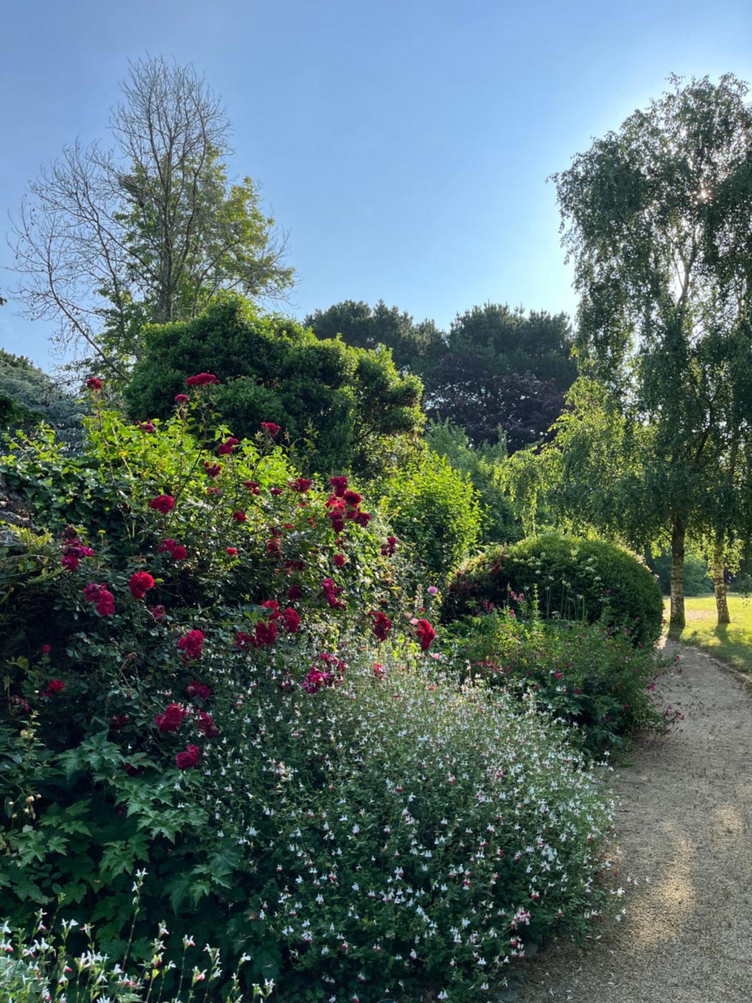 Plouër-sur-RanceManoir Des Bords De Rance住宿加早餐旅馆 外观 照片